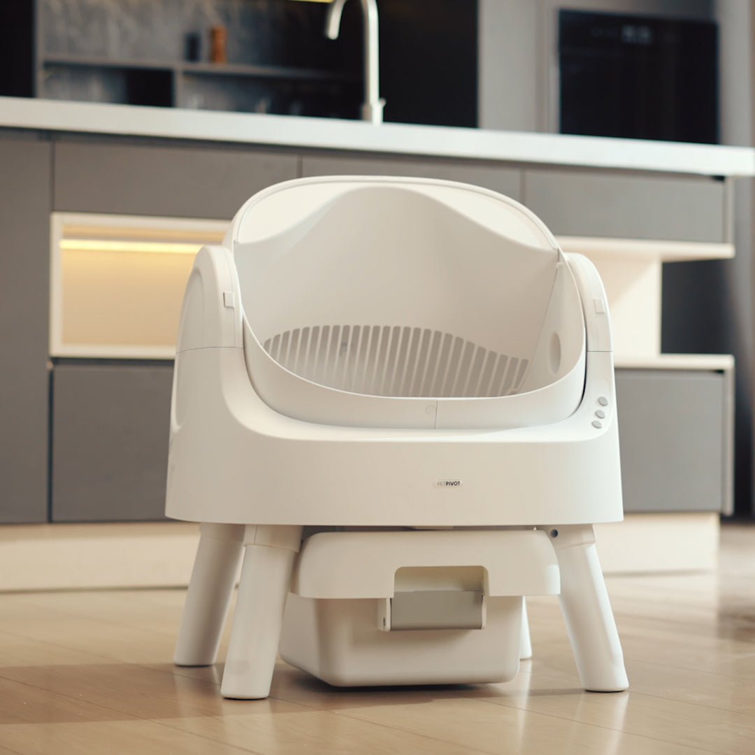 😺 Auto-Cleaning Smart Litter Box