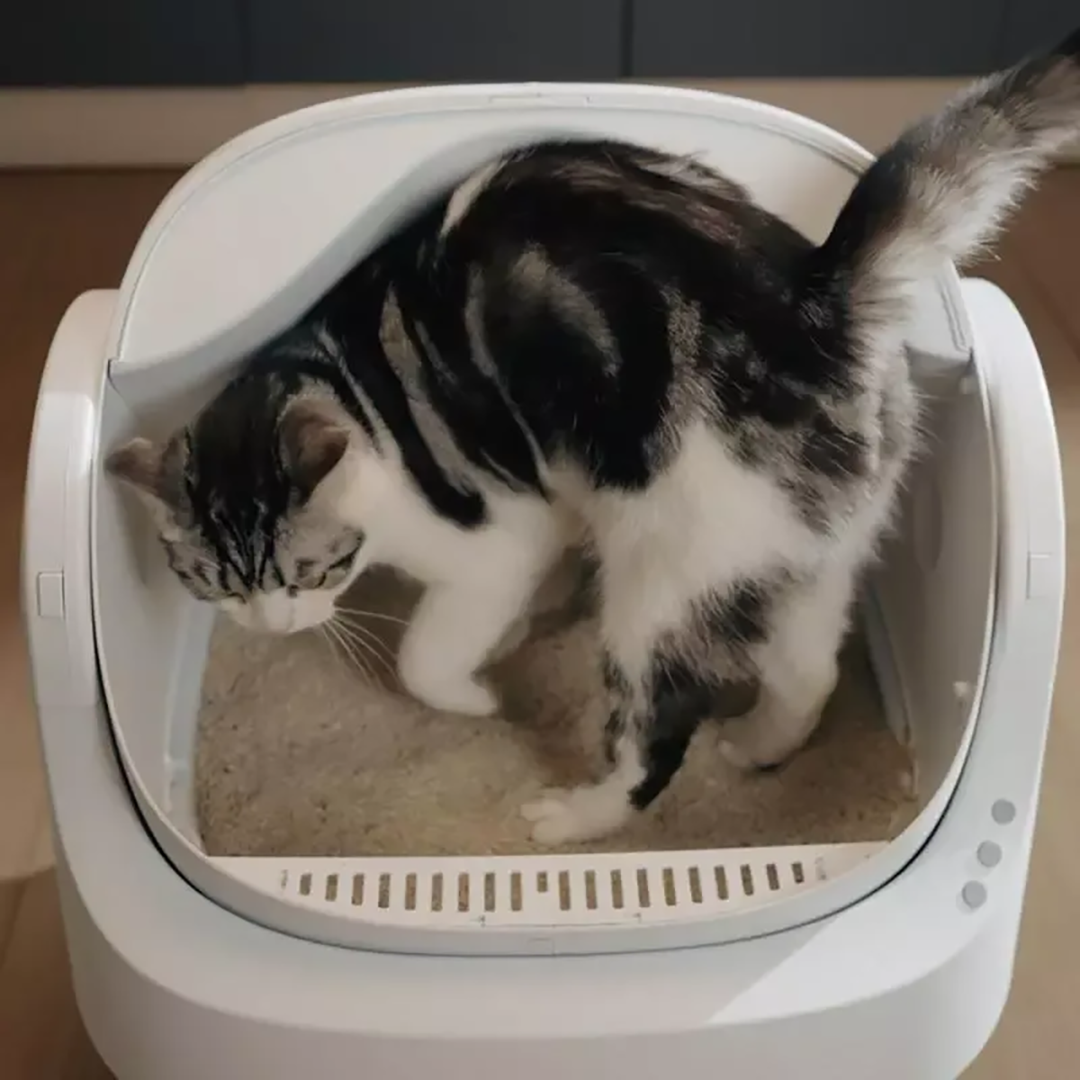 😺 Auto-Cleaning Smart Litter Box
